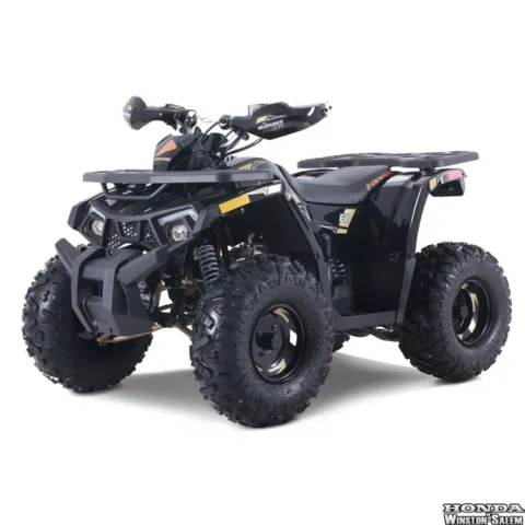 2026 Denago Powersports Mudhawk 10 FI — front three-quarter view