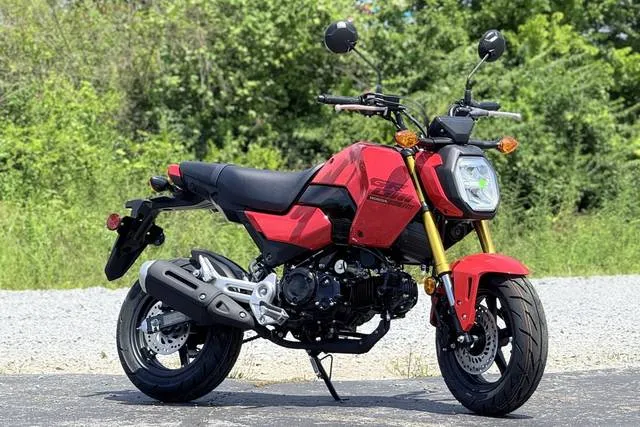 2026 Honda® Grom — front three-quarter view