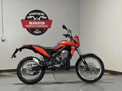 2026 Beta ALP 4.0