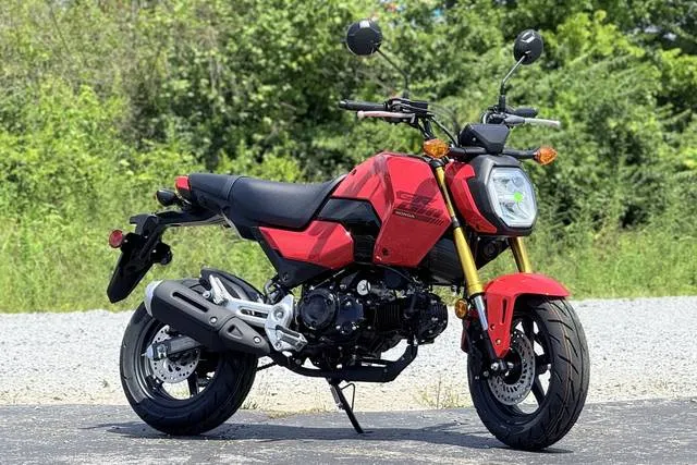 2026 Honda® Grom — front three-quarter view