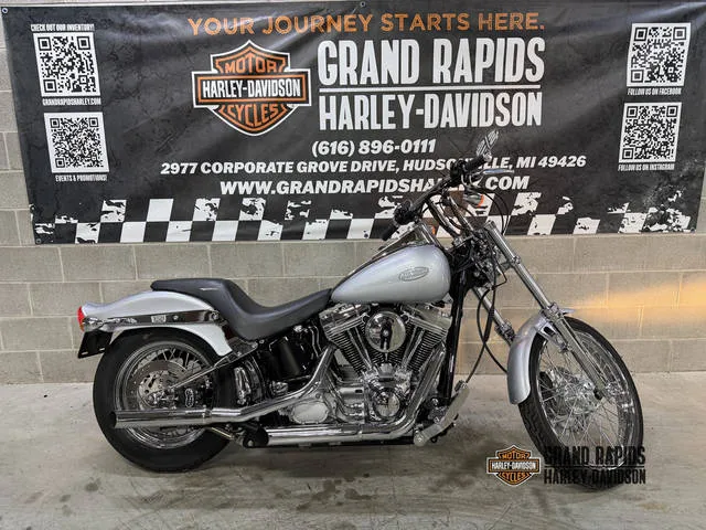 2002 Harley-Davidson® FXST - Softail® Standard — front three-quarter view