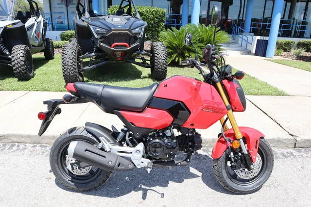 2026 Honda® Grom — front three-quarter view