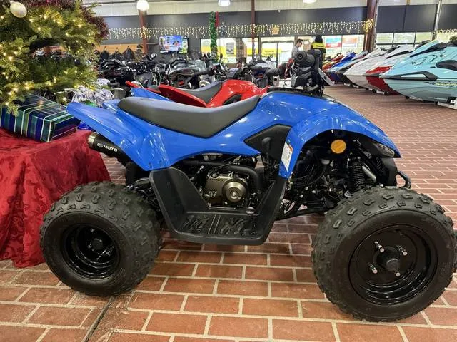 2024 CFMOTO CFORCE 110 — front three-quarter view