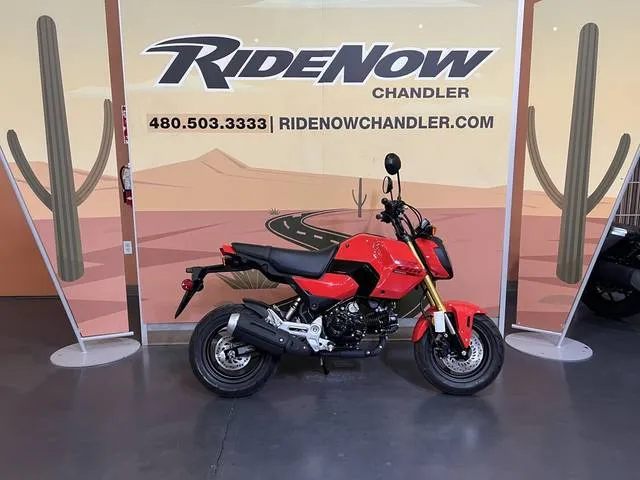 2026 Honda® Grom — front three-quarter view