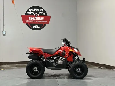 2026 Polaris Outlaw 110 EFI