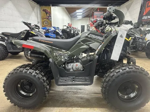 2026 Denago Powersports Trailhawk 10 FI — front three-quarter view