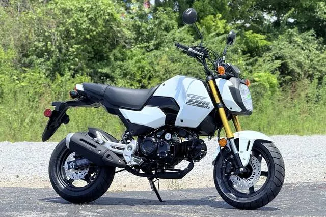 2026 Honda® Grom — front three-quarter view