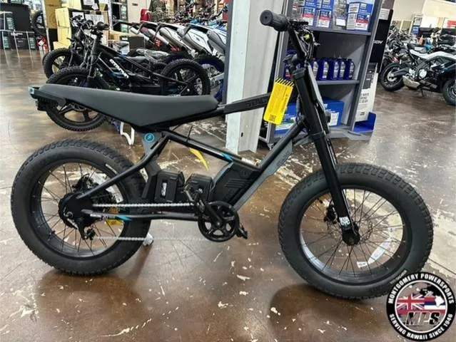 2025 Stacyc 20HDrive — front three-quarter view