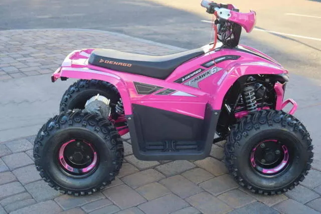 2026 Denago Powersports E-Hawk 6 — front three-quarter view