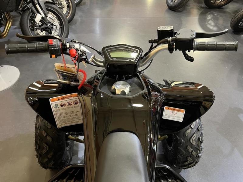 2026 Denago Powersports Daytona 250 FI — photo 10 view