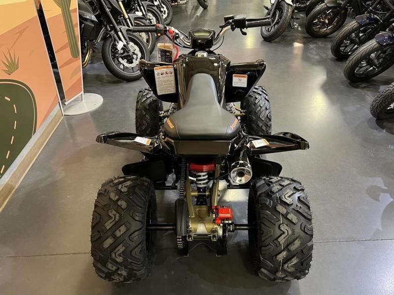 2026 Denago Powersports Daytona 250 FI — engine compartment view