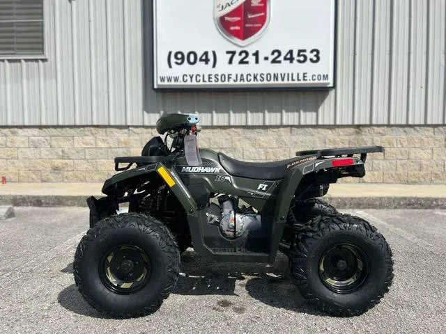 2026 Denago Powersports Mudhawk 10 FI — front three-quarter view