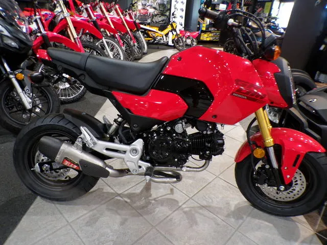 2025 Honda® Grom — front three-quarter view