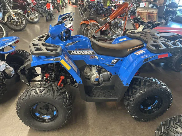2026 Denago Powersports Mudhawk 10 FI — front three-quarter view