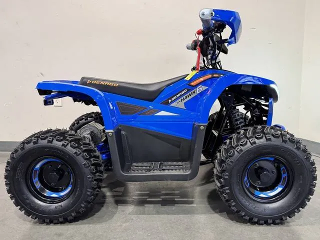 2026 Denago Powersports E-Hawk 6 — front three-quarter view