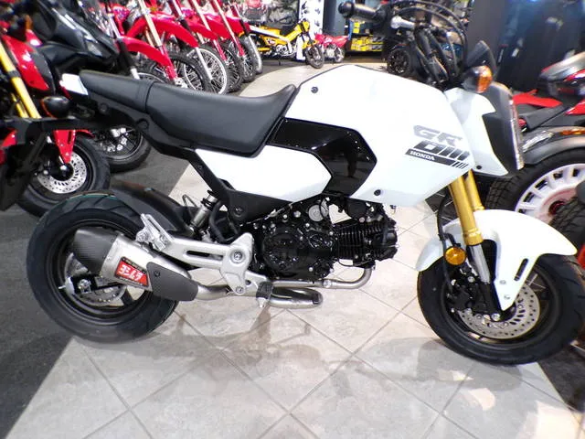 2025 Honda® Grom — front three-quarter view