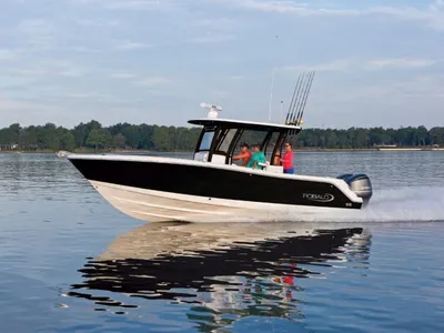 2017 Robalo R302