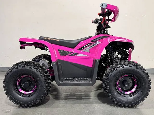 2026 Denago Powersports E-Hawk 6 — front three-quarter view