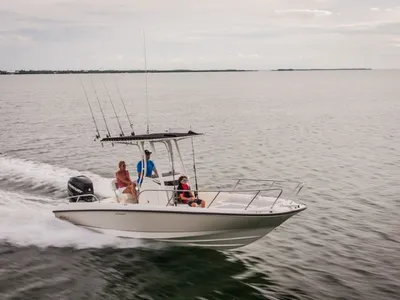 2018 Boston Whaler 240 Dauntless