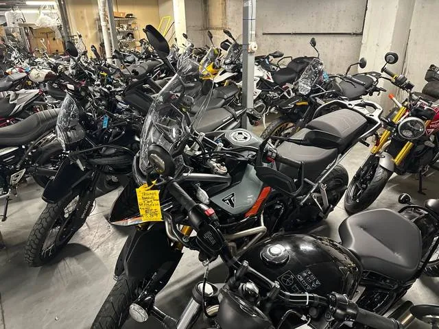 2026 Triumph TIGER 900 Rally Pro — front three-quarter view