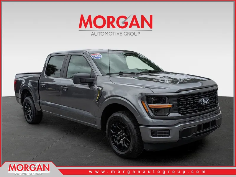 2025 Ford F-150 STX in Gray — front three-quarter view
