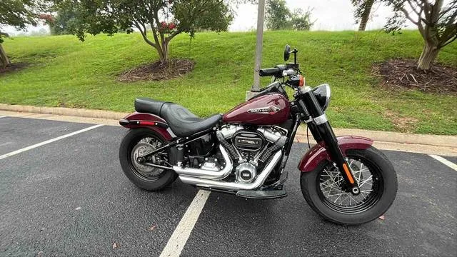 2020 Harley-Davidson® FLSL - Softail® Softail Slim® — front three-quarter view