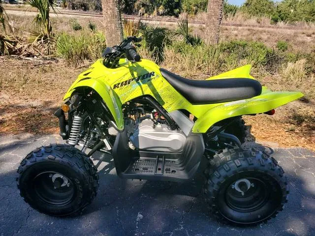 2026 Yamaha Raptor 110 — front three-quarter view