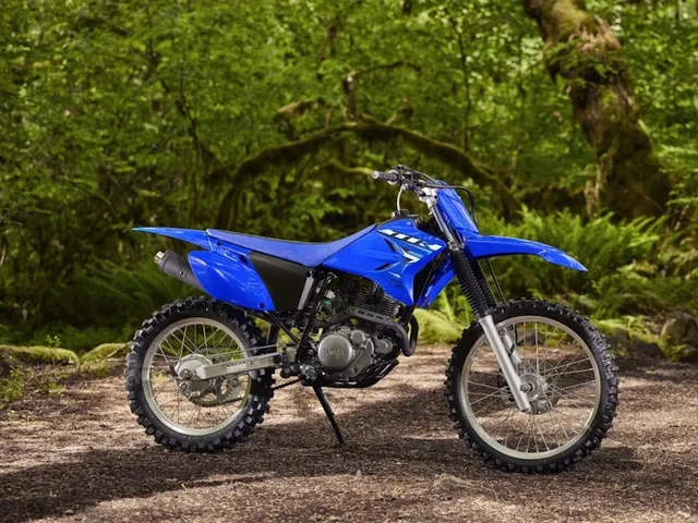 2026 Yamaha TT-R230 — front three-quarter view
