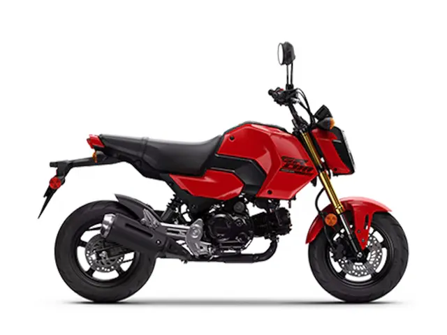 2025 Honda® Grom — front three-quarter view