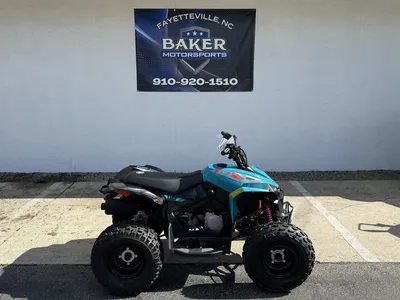 2026 Can-Am Renegade 110 EFI