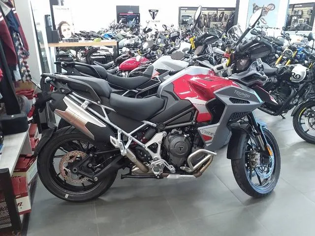 2024 Triumph TIGER 1200 GT pro — front three-quarter view