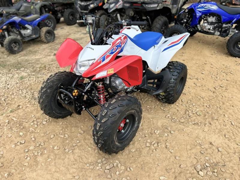 2026 Honda TRX250X — rear three-quarter view
