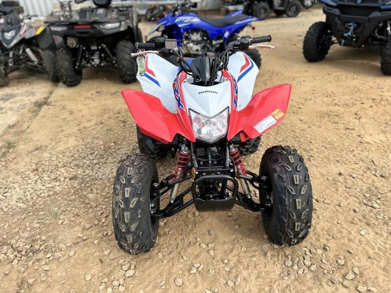 2026 Honda TRX250X — photo 11 view