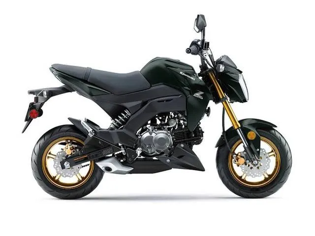 2025 Kawasaki Z125 PRO — front three-quarter view